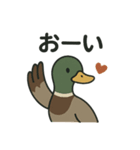 愛を伝える合鴨（個別スタンプ：12）
