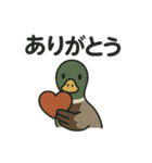 愛を伝える合鴨（個別スタンプ：14）