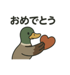 愛を伝える合鴨（個別スタンプ：16）