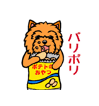 テリアなスタンプ8～ノーリッチ祭り～（個別スタンプ：5）