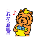 テリアなスタンプ8～ノーリッチ祭り～（個別スタンプ：6）