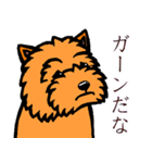 テリアなスタンプ8～ノーリッチ祭り～（個別スタンプ：7）