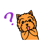 テリアなスタンプ8～ノーリッチ祭り～（個別スタンプ：12）