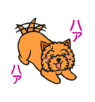 テリアなスタンプ8～ノーリッチ祭り～（個別スタンプ：14）