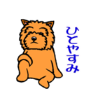 テリアなスタンプ8～ノーリッチ祭り～（個別スタンプ：15）