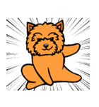 テリアなスタンプ8～ノーリッチ祭り～（個別スタンプ：19）