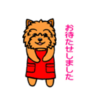 テリアなスタンプ8～ノーリッチ祭り～（個別スタンプ：22）