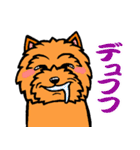 テリアなスタンプ8～ノーリッチ祭り～（個別スタンプ：25）