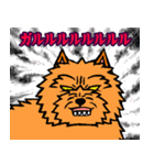 テリアなスタンプ8～ノーリッチ祭り～（個別スタンプ：26）