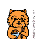 テリアなスタンプ8～ノーリッチ祭り～（個別スタンプ：27）