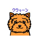テリアなスタンプ8～ノーリッチ祭り～（個別スタンプ：29）