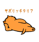 テリアなスタンプ8～ノーリッチ祭り～（個別スタンプ：30）