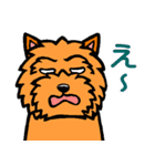 テリアなスタンプ8～ノーリッチ祭り～（個別スタンプ：31）