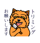 テリアなスタンプ8～ノーリッチ祭り～（個別スタンプ：33）