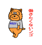 テリアなスタンプ8～ノーリッチ祭り～（個別スタンプ：36）