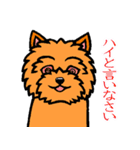 テリアなスタンプ8～ノーリッチ祭り～（個別スタンプ：37）