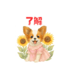 かわいいパピヨンとスピッツの日常スタンプ（個別スタンプ：1）
