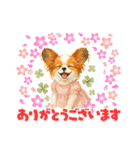 かわいいパピヨンとスピッツの日常スタンプ（個別スタンプ：7）