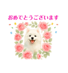 かわいいパピヨンとスピッツの日常スタンプ（個別スタンプ：21）