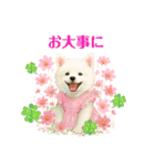 かわいいパピヨンとスピッツの日常スタンプ（個別スタンプ：23）