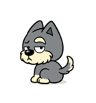 シュナウザーの日常.でか顔ver.（個別スタンプ：6）