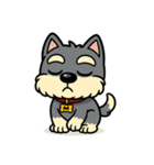 シュナウザーの日常.でか顔ver.（個別スタンプ：30）