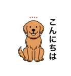 名前入りゴールデンダークゴールド（個別スタンプ：1）