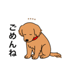 名前入りゴールデンダークゴールド（個別スタンプ：3）