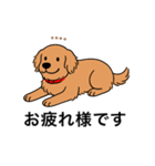 名前入りゴールデンダークゴールド（個別スタンプ：4）