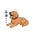 名前入りゴールデンダークゴールド（個別スタンプ：5）