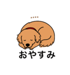 名前入りゴールデンダークゴールド（個別スタンプ：6）