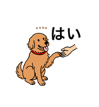 名前入りゴールデンダークゴールド（個別スタンプ：7）