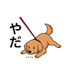 名前入りゴールデンダークゴールド（個別スタンプ：8）