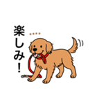 名前入りゴールデンダークゴールド（個別スタンプ：9）