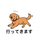 名前入りゴールデンダークゴールド（個別スタンプ：10）