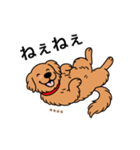 名前入りゴールデンダークゴールド（個別スタンプ：11）