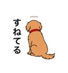 名前入りゴールデンダークゴールド（個別スタンプ：12）