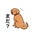 名前入りゴールデンダークゴールド（個別スタンプ：13）