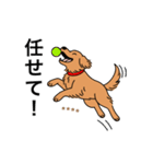 名前入りゴールデンダークゴールド（個別スタンプ：14）