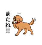 名前入りゴールデンダークゴールド（個別スタンプ：15）