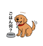 名前入りゴールデンダークゴールド（個別スタンプ：16）