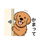 名前入りゴールデンダークゴールド（個別スタンプ：17）