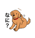 名前入りゴールデンダークゴールド（個別スタンプ：18）