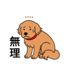 名前入りゴールデンダークゴールド（個別スタンプ：19）