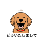 名前入りゴールデンダークゴールド（個別スタンプ：21）