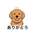 名前入りゴールデンダークゴールド（個別スタンプ：22）