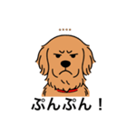 名前入りゴールデンダークゴールド（個別スタンプ：23）