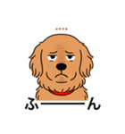 名前入りゴールデンダークゴールド（個別スタンプ：24）