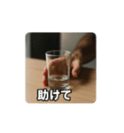 後半スタンプ見ちゃだめ（個別スタンプ：7）