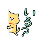 わかりやすい動物たち‗毎日使えるデカ文字（個別スタンプ：37）